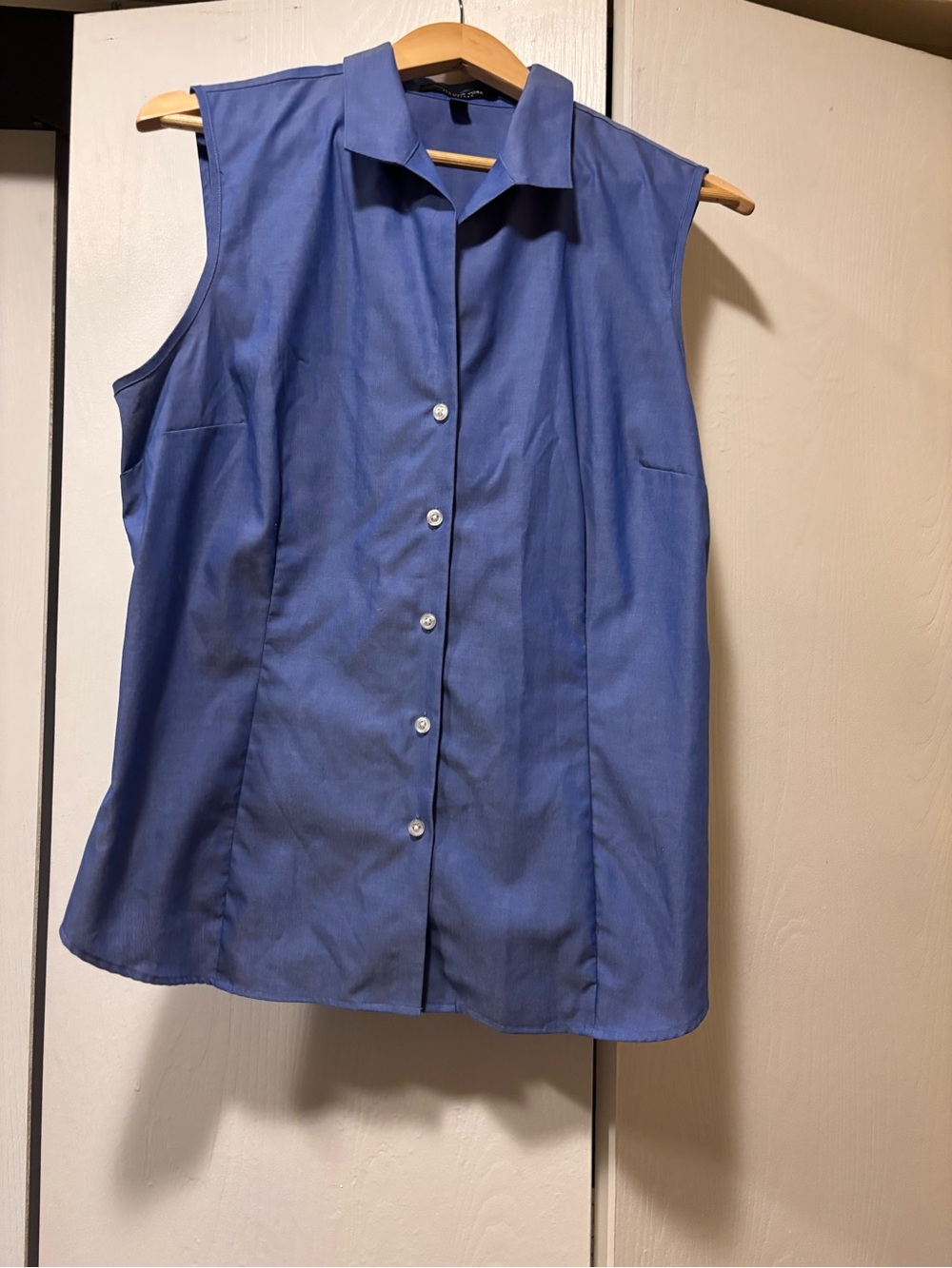 Jones New York Sleeveless Button-Down Shirt in Blue